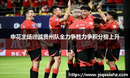 申花主场迎战贵州队全力争胜力争积分榜上升